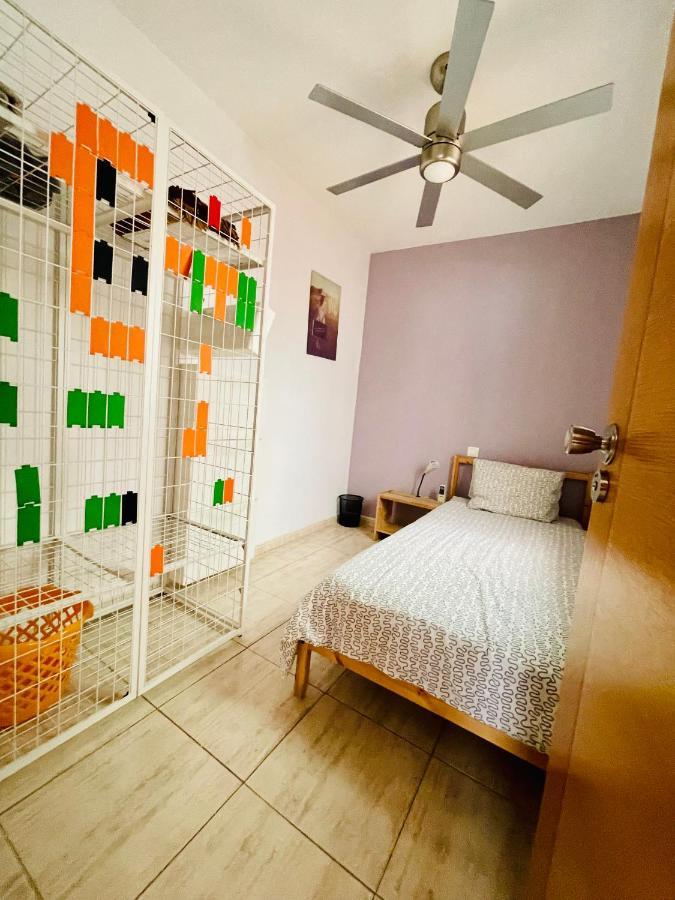 شقة Piso Amplio Familiar تيلدي المظهر الخارجي الصورة